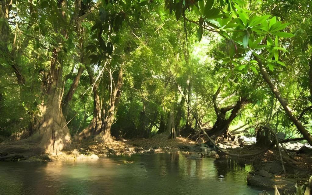 Natural Park Resort De Wang Thong Phitsanulok Extérieur photo